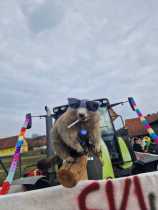 IMG-20250301-WA0050