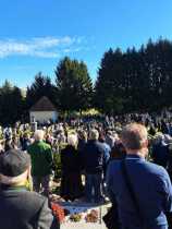 IMG-20251101-WA0007