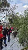 IMG-20251226-WA0082